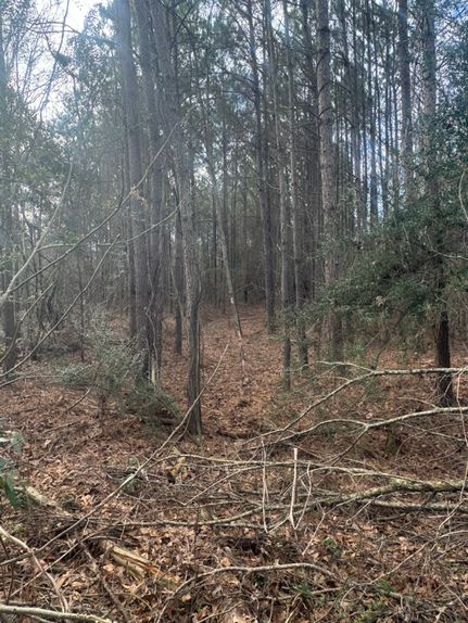 Property for sale in Simpson County, Mississippi