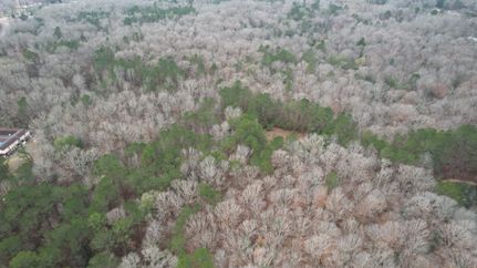 Property for sale in Simpson County, Mississippi