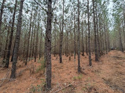 Property for sale in Chesterfield County, South Carolina