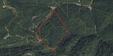 Property for sale in Wayne County, West Virginia