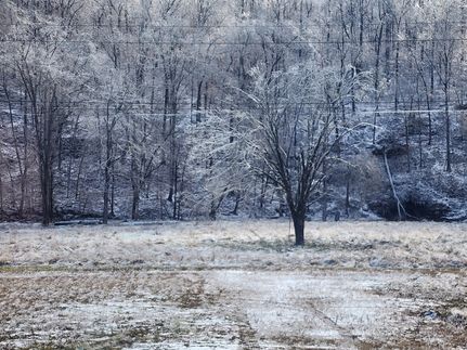 Residential Property for sale in Wayne County, Tennessee