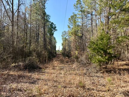 Property for sale in Attala County, Mississippi