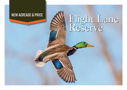 Riverfront Property for sale in Woodruff County, Arkansas