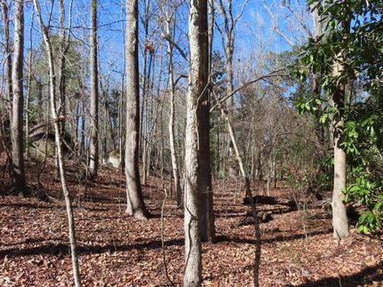 Property for sale in Fairfield County, South Carolina