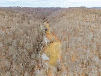 Undeveloped Land for sale in Carter County, Kentucky