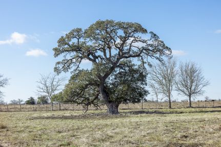 Farm Property for sale in Fayette County, Texas