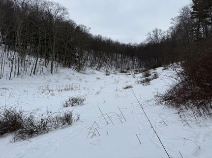 Undeveloped Land for sale in Jefferson County, Pennsylvania