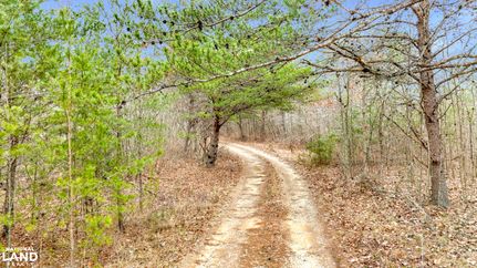 Timberland Property for sale in Grundy County, Tennessee