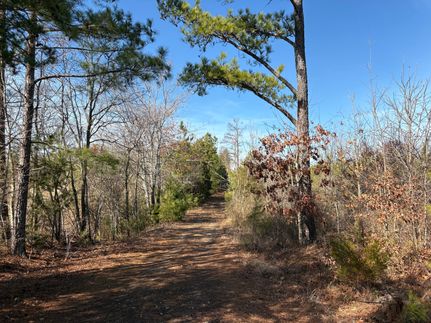 Timberland Property for sale in Charlotte County, Virginia