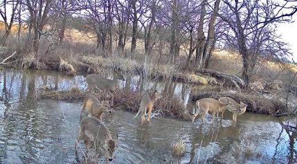 Property for sale in Bourbon County, Kansas