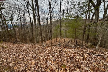 Property for sale in Hawkins County, Tennessee