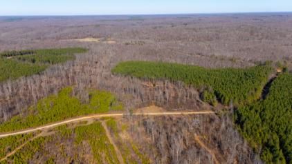 Property for sale in Houston County, Tennessee