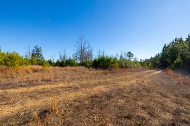 Property for sale in Houston County, Tennessee