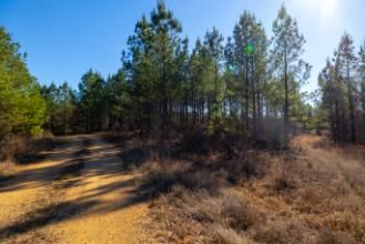 Property for sale in Houston County, Tennessee