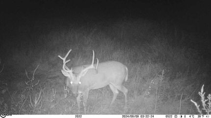 Property for sale in Franklin County, Illinois