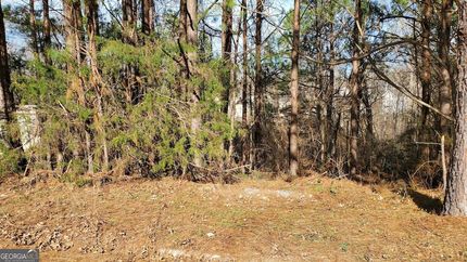 Undeveloped Land for sale in Gwinnett County, Georgia