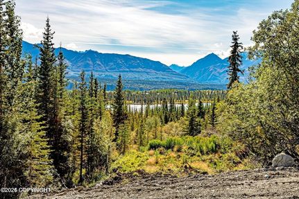Undeveloped Land for sale in Matanuska-Susitna Borough, Alaska