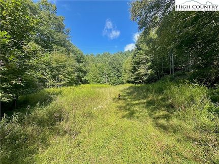 Undeveloped Land for sale in Watauga County, North Carolina