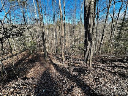 Undeveloped Land for sale in Swain County, North Carolina