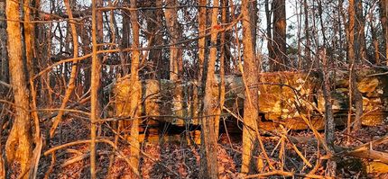 Property for sale in Colbert County, Alabama