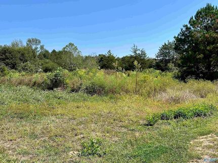 Undeveloped Land for sale in Marshall County, Alabama