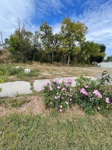 Undeveloped Land for sale in Chippewa County, Minnesota