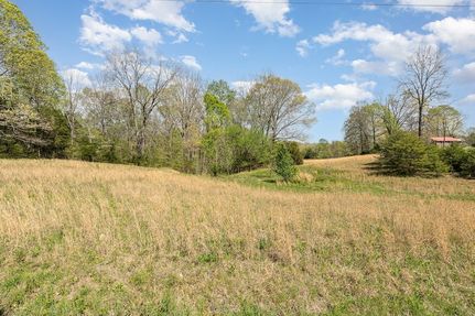 Undeveloped Land for sale in Dickson County, Tennessee