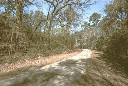 Property for sale in Trinity County, Texas