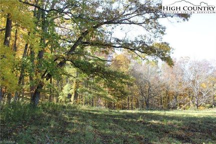 Undeveloped Land for sale in Ashe County, North Carolina