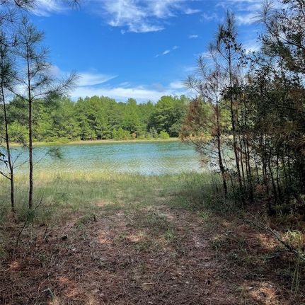 Lakefront Property for sale in Grimes County, Texas
