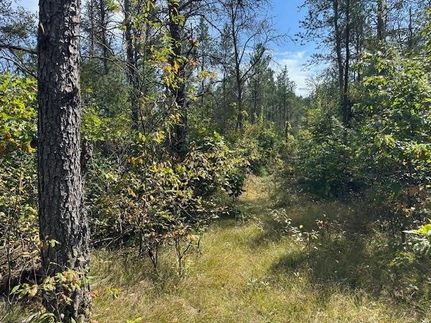 Undeveloped Land for sale in Juneau County, Wisconsin