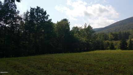 Undeveloped Land for sale in Berkshire County, Massachusetts