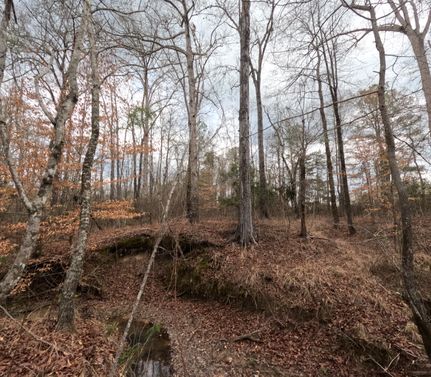 Property for sale in Copiah County, Mississippi