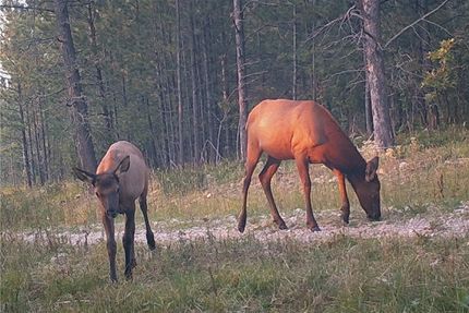 Property for sale in Crook County, Wyoming