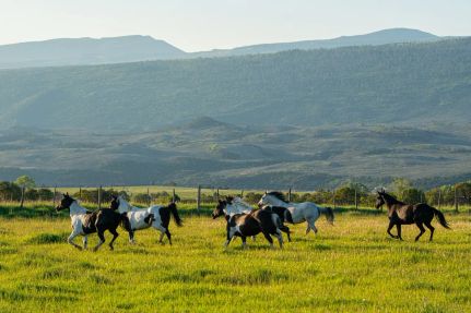 Lakefront Property for sale in Eagle County, Colorado