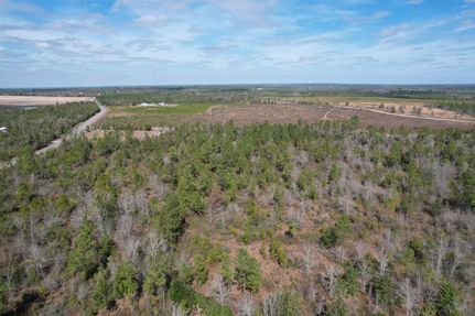 Recreational Property for sale in Calhoun County, Florida