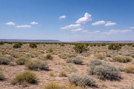 Lakefront Property for sale in Navajo County, Arizona
