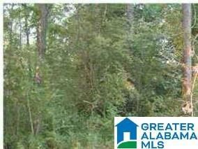 Property for sale in Talladega County, Alabama