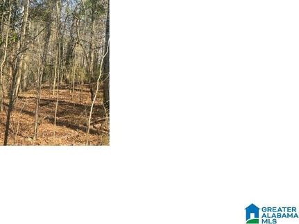 Property for sale in Talladega County, Alabama