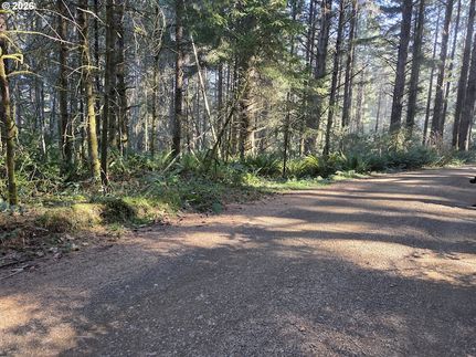 Undeveloped Land for sale in Curry County, Oregon