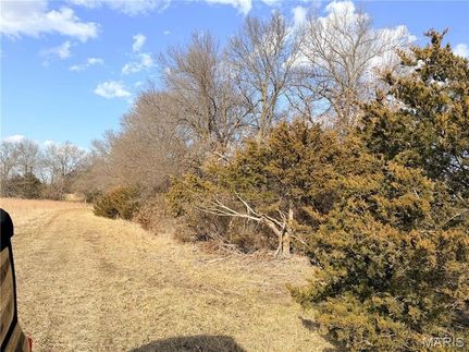 Undeveloped Land for sale in Audrain County, Missouri