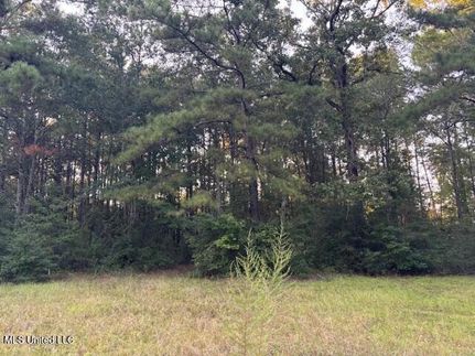 Property for sale in Pike County, Mississippi