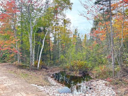 Undeveloped Land for sale in Chippewa County, Michigan