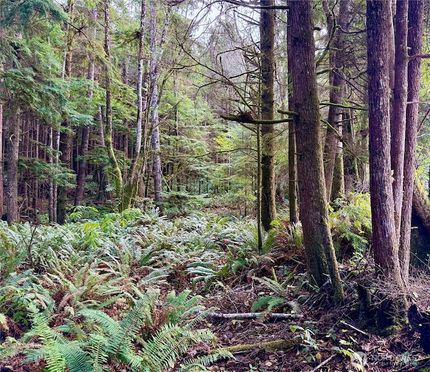 Undeveloped Land for sale in Grays Harbor County, Washington