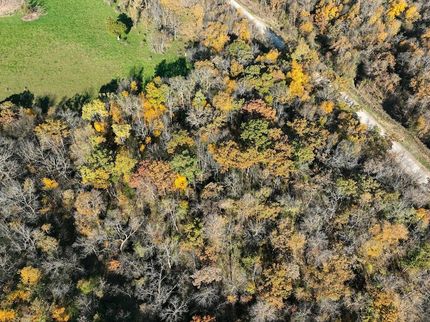 Undeveloped Land for sale in Allamakee County, Iowa