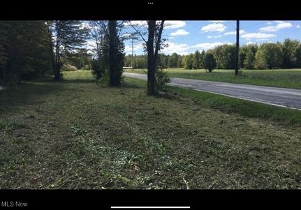 Undeveloped Land for sale in Lake County, Ohio