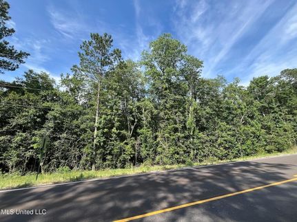 Undeveloped Land for sale in Greene County, Mississippi