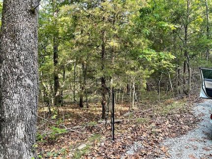 Undeveloped Land for sale in Ozark County, Missouri