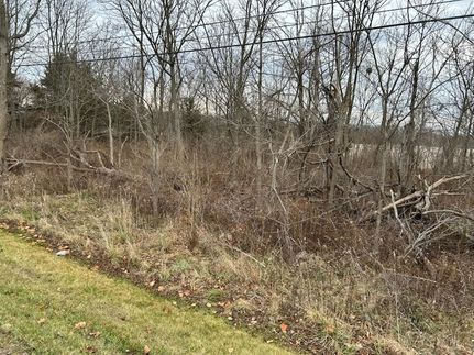 Undeveloped Land for sale in Shiawassee County, Michigan