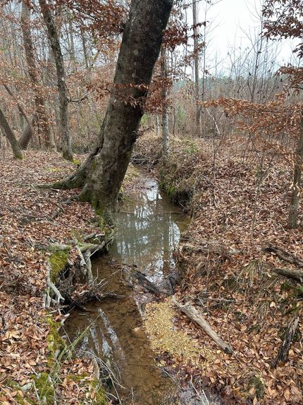 Property for sale in Tishomingo County, Mississippi